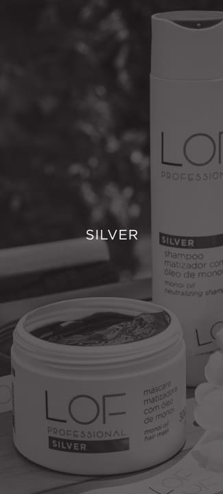 Imagem mostrando o tipo do produto da categoria silver